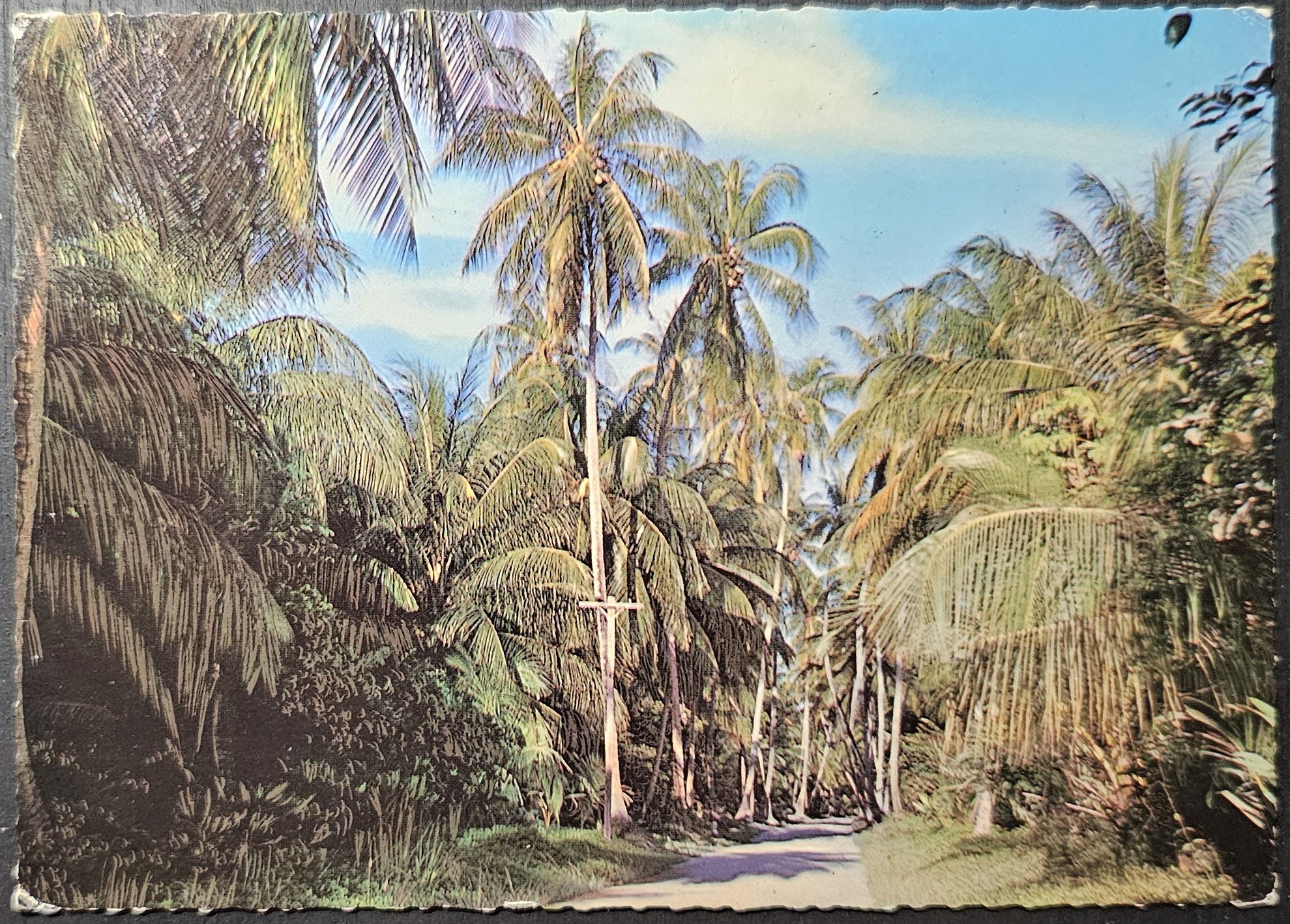 (image for) postcard Latin America -SR - Suriname #0002